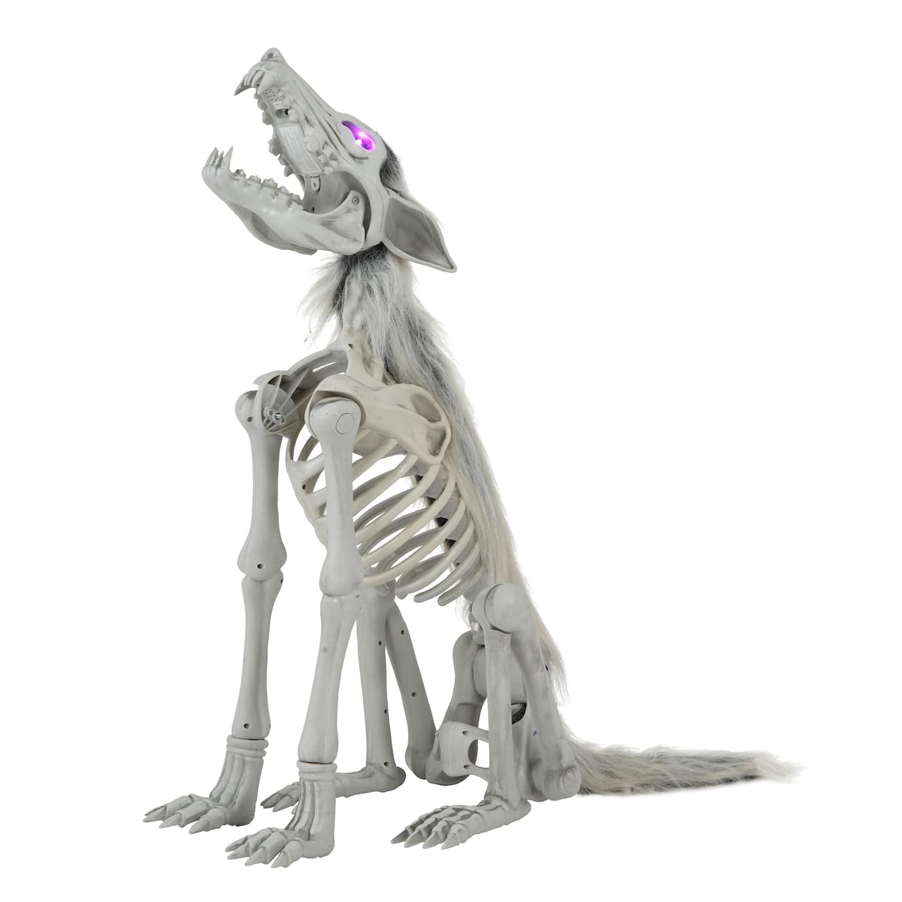 34.5" LED Animated Wolf Skeleton by Ashland®